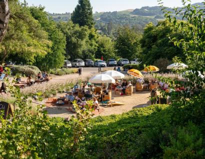 Matanzas Creek Santa Rosa Wine Tasting Room